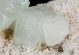 Apophyllite Crystals on Heulandite - India #44050-2